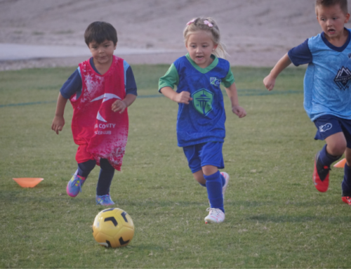 MLSgo powered by Pima County SURF